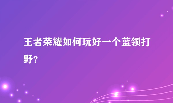 王者荣耀如何玩好一个蓝领打野？