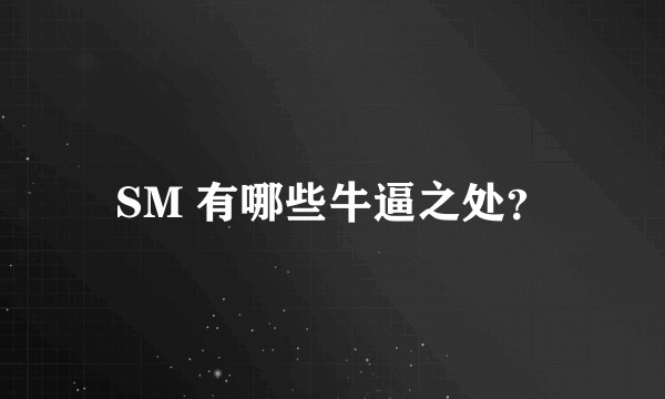SM 有哪些牛逼之处？