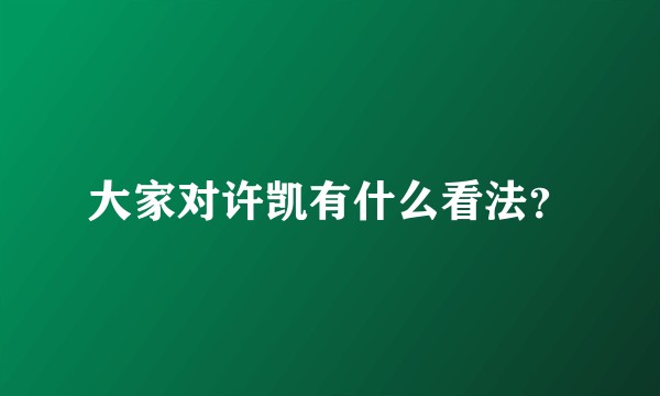 大家对许凯有什么看法？