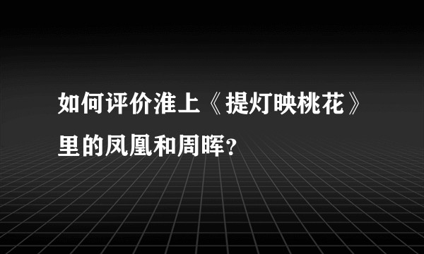 如何评价淮上《提灯映桃花》里的凤凰和周晖?