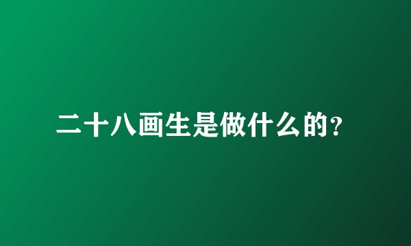 二十八画生是做什么的？
