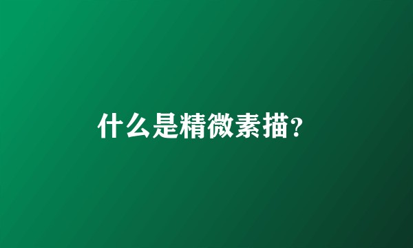 什么是精微素描？