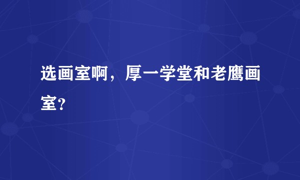 选画室啊，厚一学堂和老鹰画室？
