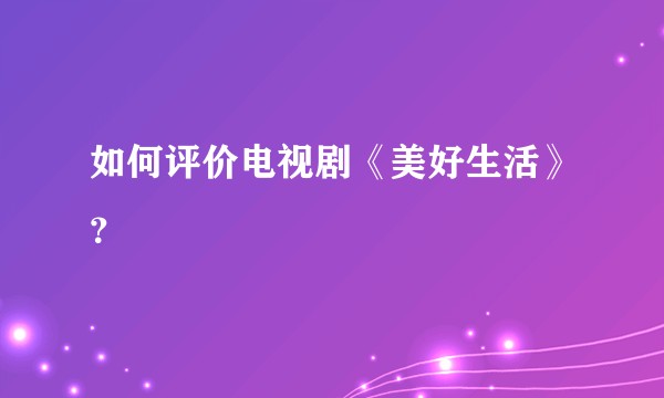 如何评价电视剧《美好生活》？