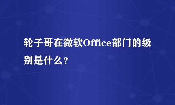 轮子哥在微软Office部门的级别是什么?