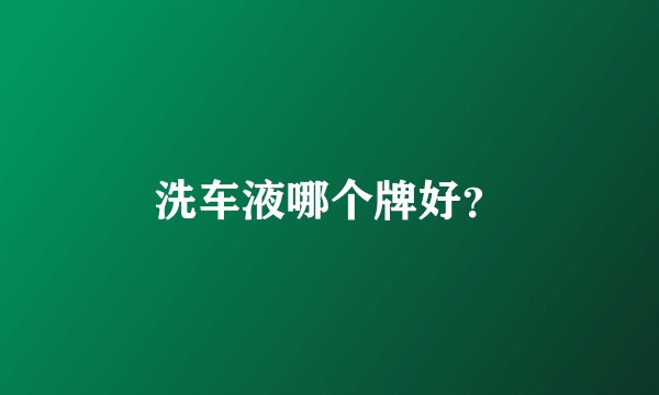 洗车液哪个牌好？