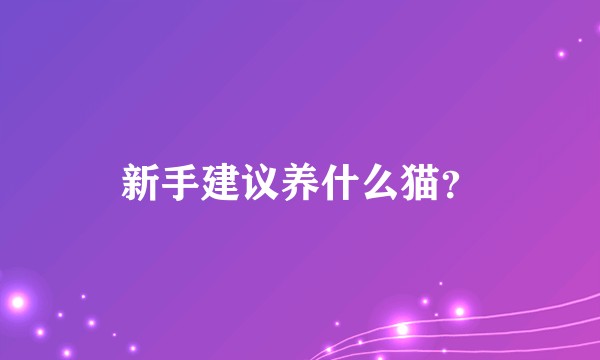 新手建议养什么猫？