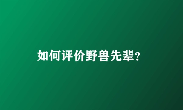 如何评价野兽先辈？