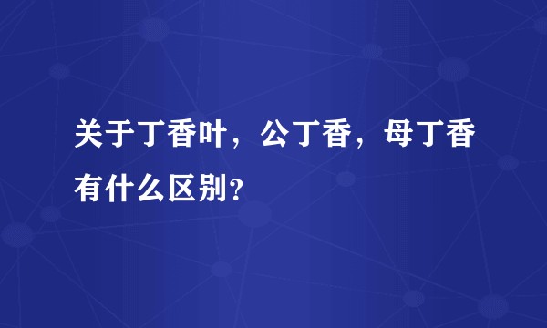 关于丁香叶，公丁香，母丁香有什么区别？