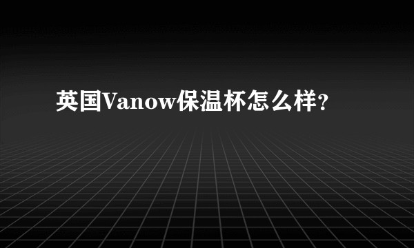 英国Vanow保温杯怎么样？