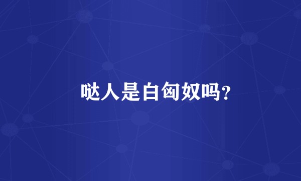 嚈哒人是白匈奴吗？