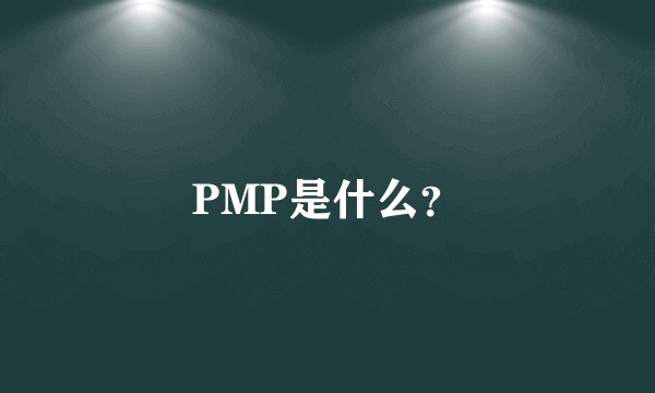 PMP是什么？