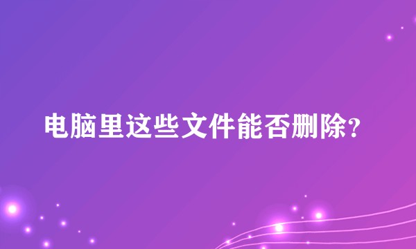 电脑里这些文件能否删除？