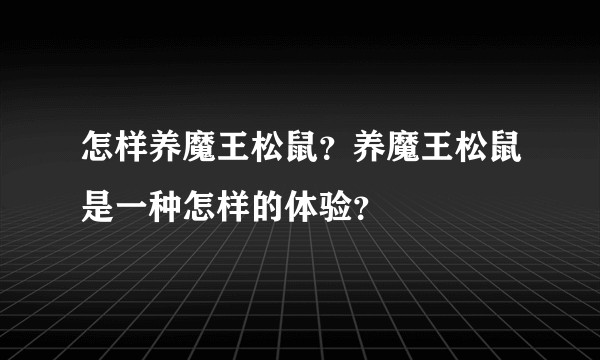 怎样养魔王松鼠？养魔王松鼠是一种怎样的体验？