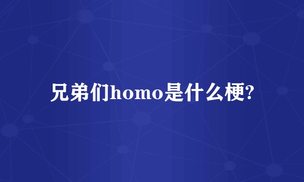 兄弟们homo是什么梗?