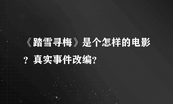 《踏雪寻梅》是个怎样的电影？真实事件改编？