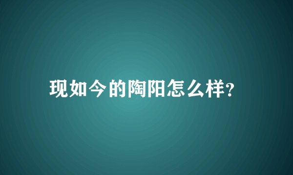 现如今的陶阳怎么样？