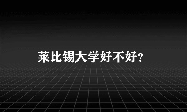 莱比锡大学好不好？