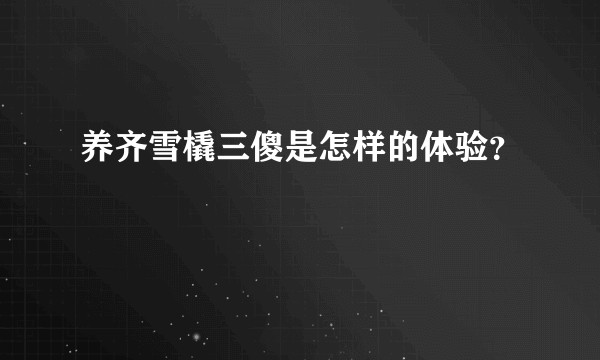 养齐雪橇三傻是怎样的体验？