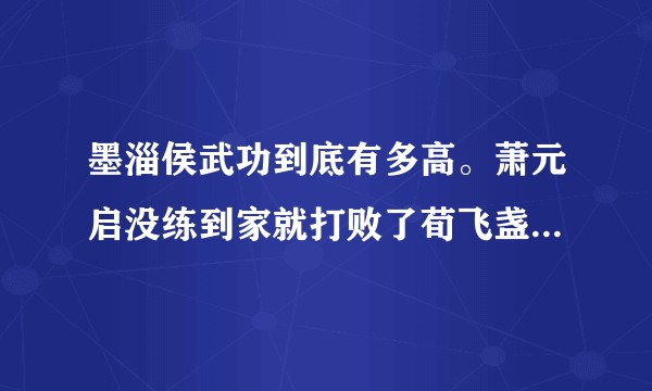 墨淄侯武功到底有多高。萧元启没练到家就打败了荀飞盏和主角平分秋色？