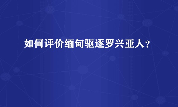 如何评价缅甸驱逐罗兴亚人？