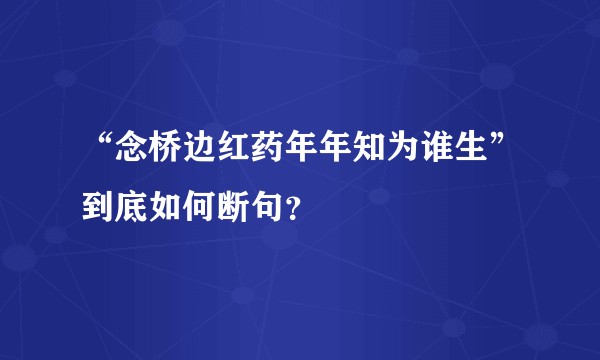“念桥边红药年年知为谁生”到底如何断句？