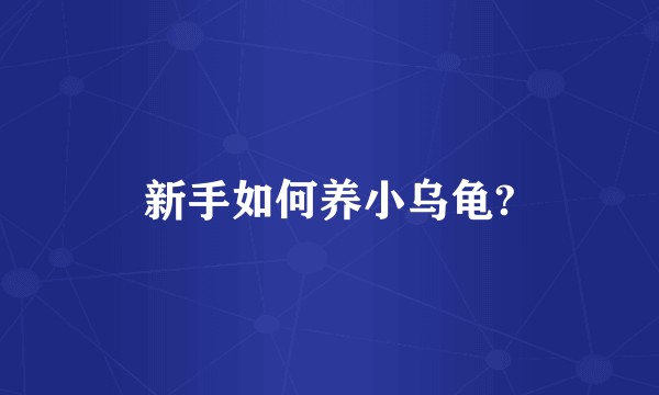 新手如何养小乌龟?