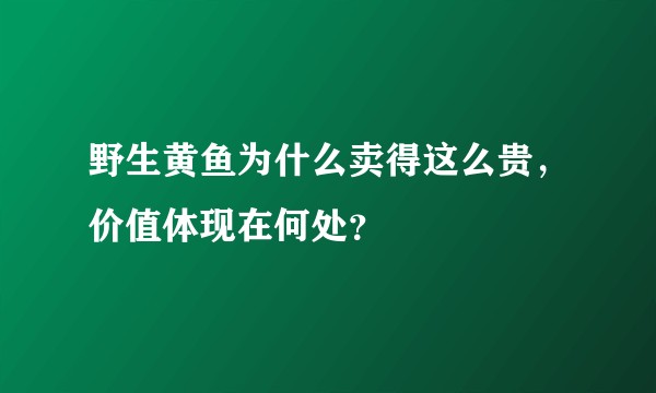 野生黄鱼为什么卖得这么贵，价值体现在何处？