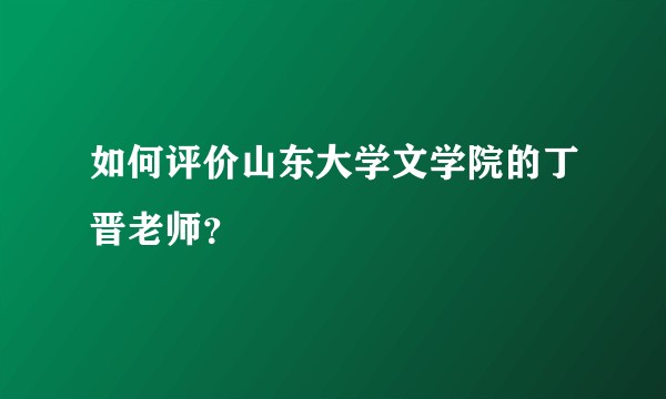 如何评价山东大学文学院的丁晋老师？