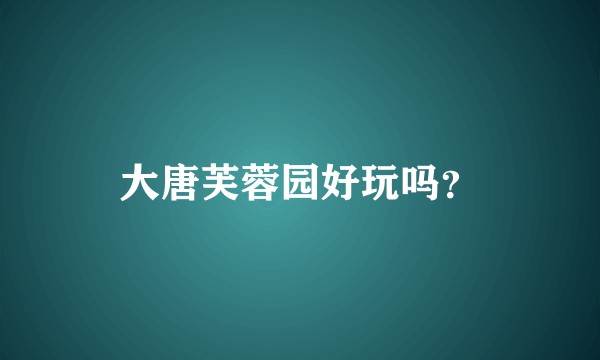 大唐芙蓉园好玩吗？