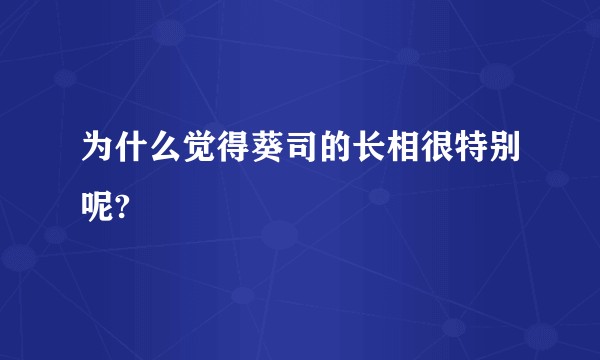 为什么觉得葵司的长相很特别呢?