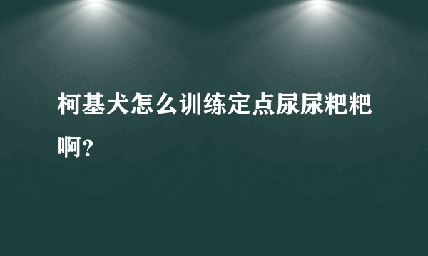 柯基犬怎么训练定点尿尿粑粑啊？