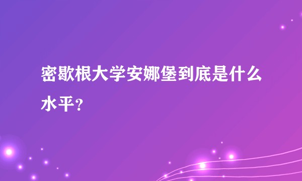 密歇根大学安娜堡到底是什么水平？
