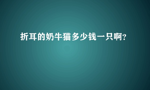 折耳的奶牛猫多少钱一只啊？