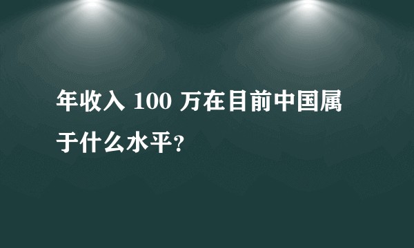 年收入 100 万在目前中国属于什么水平？