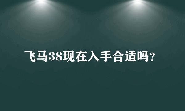 飞马38现在入手合适吗？