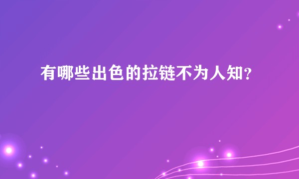 有哪些出色的拉链不为人知？