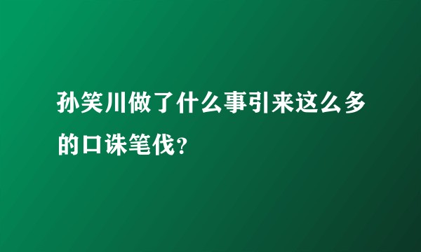 孙笑川做了什么事引来这么多的口诛笔伐？