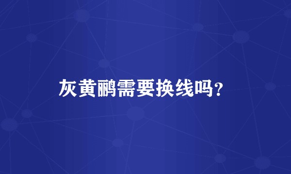 灰黄鹂需要换线吗?