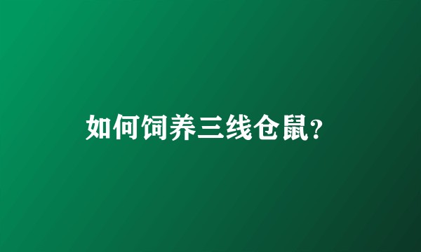 如何饲养三线仓鼠？
