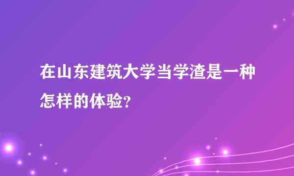 在山东建筑大学当学渣是一种怎样的体验？