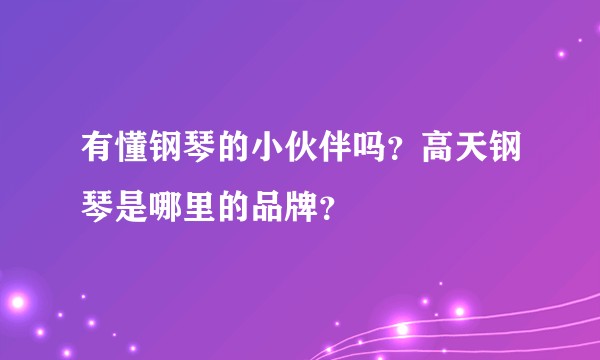 有懂钢琴的小伙伴吗？高天钢琴是哪里的品牌？