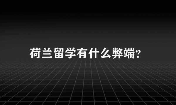 荷兰留学有什么弊端？